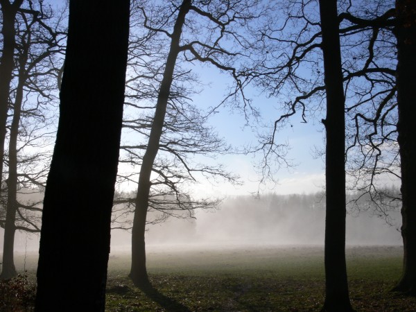 Tiergarten Weidenau - (c) E Rockstroh.jpg